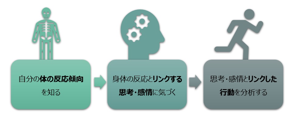 身体スキャンで感情と身体の反応の組み合わせを知る